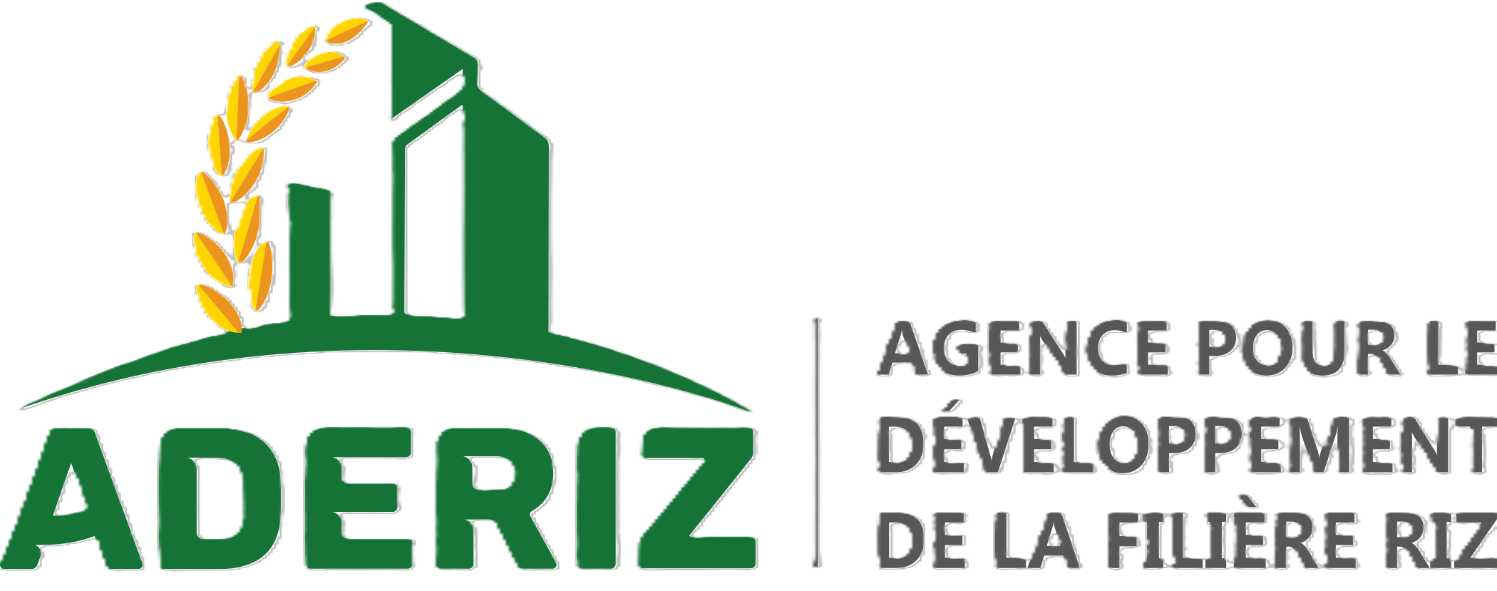 ADERIZ LOGO
